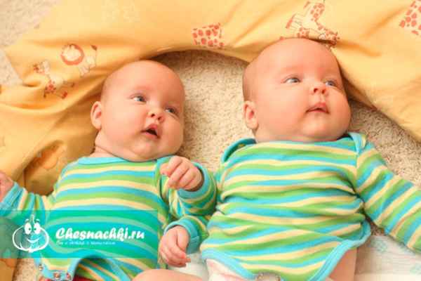 Как передается близнецы по наследству